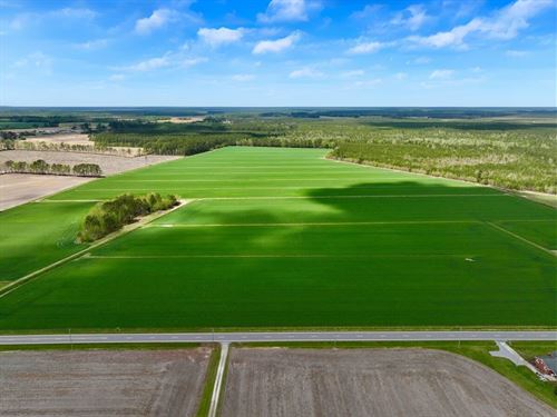 Updated, 117 Acres of Cropland fo : Washington : Beaufort County : North Carolina