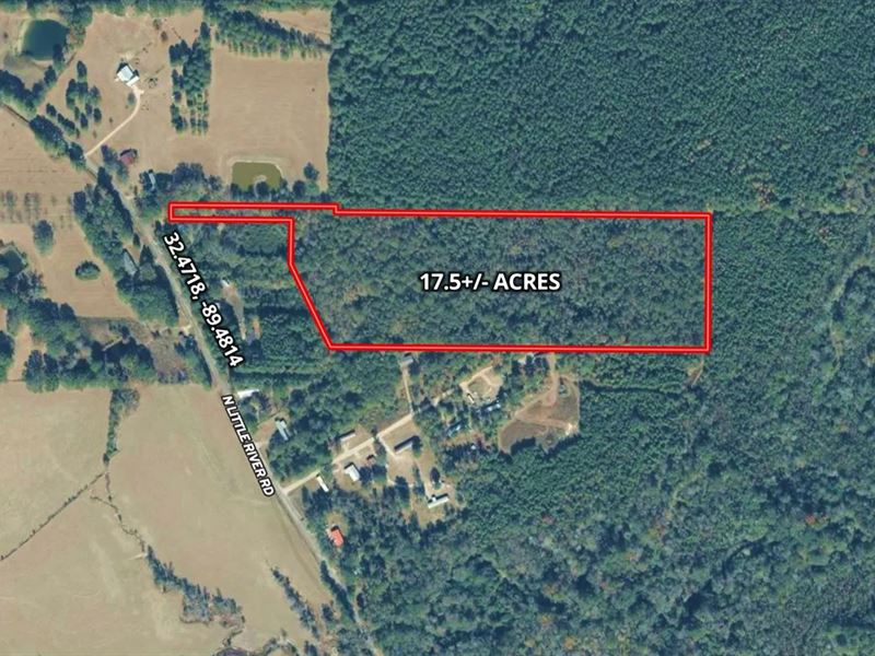 17.5 Acres in Scott County in Fores : Forest : Scott County : Mississippi