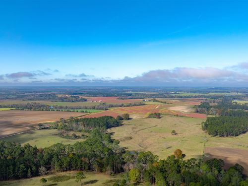 Lost Farms : Arabi : Crisp County : Georgia
