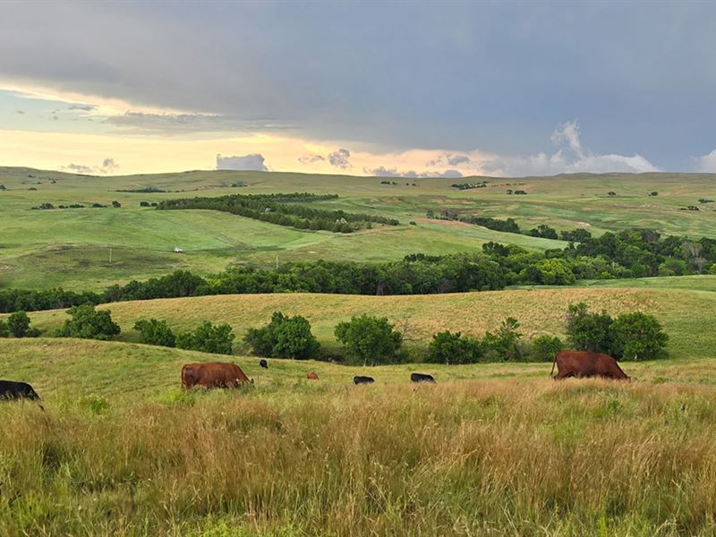 Horse Creek Ranch : Martin : Bennett County : South Dakota