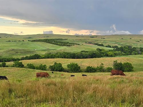 Horse Creek Ranch : Martin : Bennett County : South Dakota