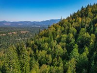 Bodie Canyon : Priest River : Bonner County : Idaho