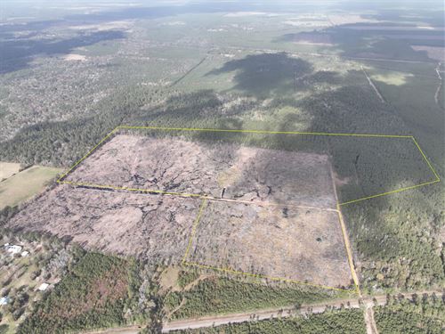 112 Acres, Old Honey Island Road : Honey Island : Hardin County : Texas