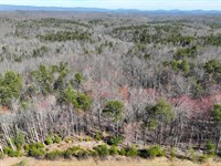 41.18 Acres of Recreational Land fo : Stuart : Patrick County : Virginia