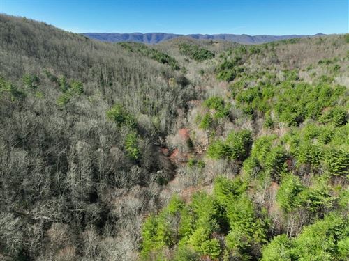 180 Acres of Recreational Land : Stuart : Patrick County : Virginia