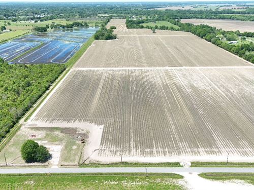 35.73 Acres in Acadia Parish, LA : Church Point : Acadia Parish : Louisiana