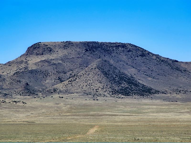 Start Your Micro Farm on South CO : Alamosa East : Costilla County : Colorado
