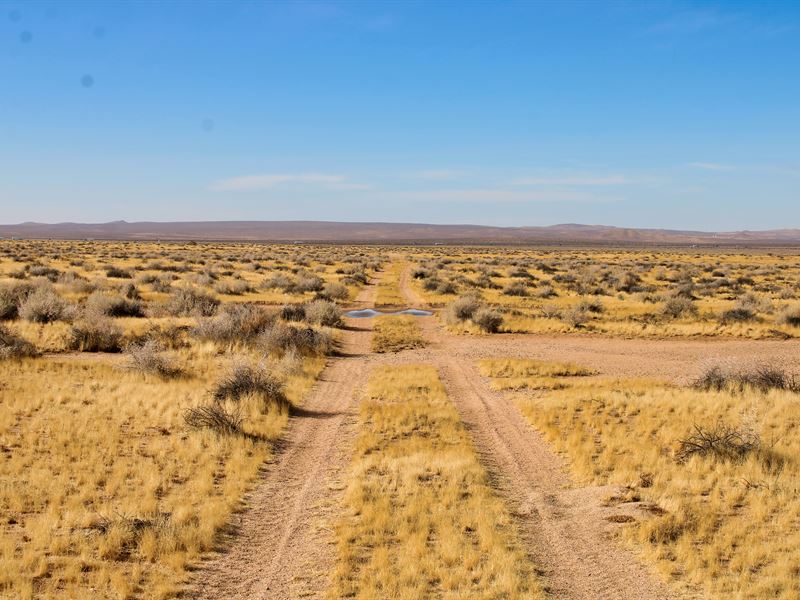 Fear & Loathing Near Barstow : Hinkley : San Bernardino County : California
