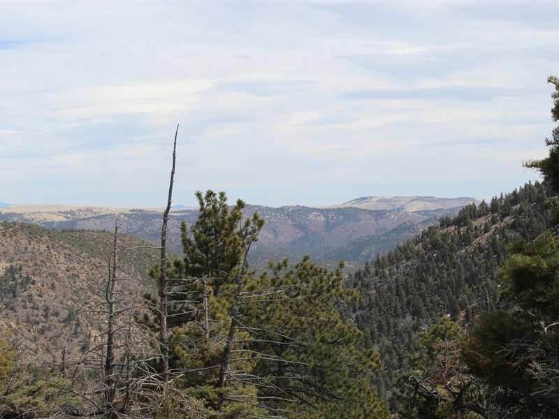 King's Hideout : Cotopaxi : Fremont County : Colorado