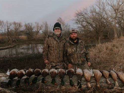 Coon Creek 74 : Garfield : Pawnee County : Kansas