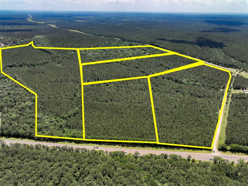 15 Acres, T-5, Hunters Hill Road : Oakhurst : San Jacinto County : Texas