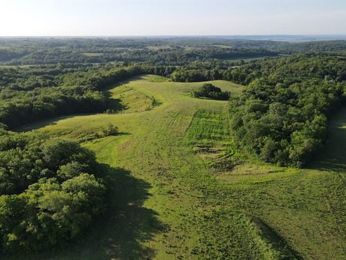 Andrew County Hunting/Farming Acrea : Amazonia : Andrew County : Missouri