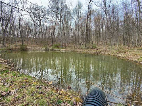 Beavers Ridge Rd, 80 Acres, Pike : Peebles : Pike County : Ohio