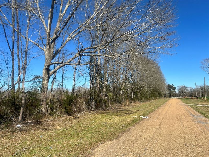 134 Acres Wilkinson County, MS : Centreville : Wilkinson County : Mississippi