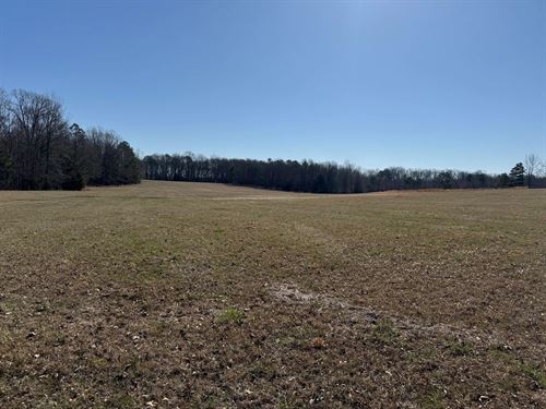 81.5 Acres In Pontotoc County, MS : Pontotoc : Mississippi