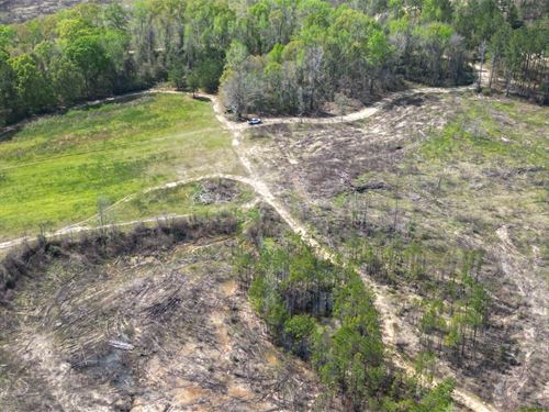 110 Ac Macon County, AL : Tuskegee : Macon County : Alabama