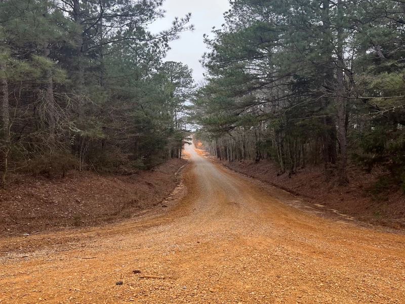 85.5 Acres in Neshoba County in Uni : Union : Neshoba County : Mississippi