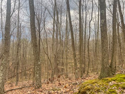 Ponetown Rd Lot 3, 11.4 Acres : Ray : Vinton County : Ohio