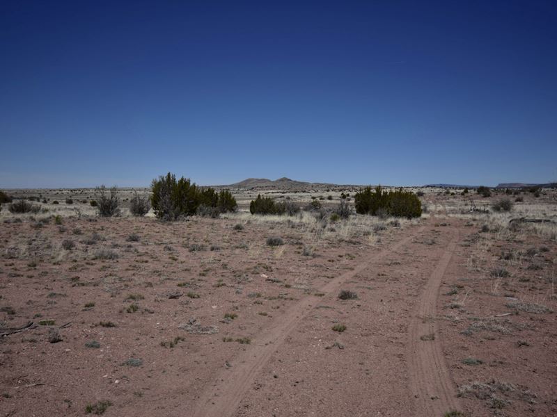13.1 Acres of Arizona Land : Seligman : Yavapai County : Arizona
