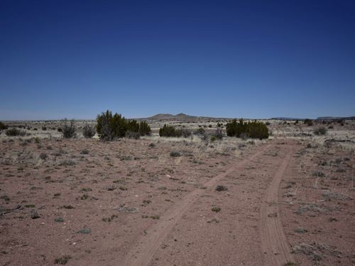 13.1 Acres of Arizona Land : Seligman : Yavapai County : Arizona