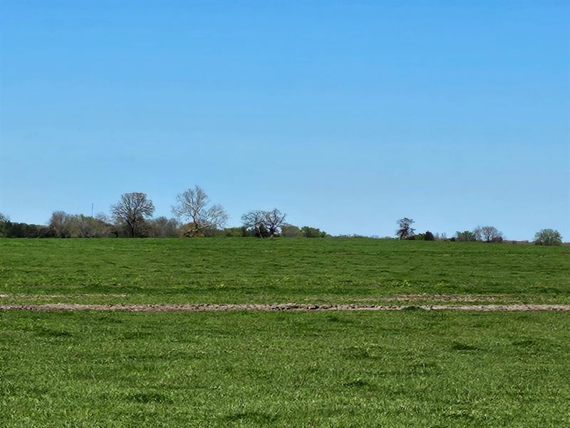 Butterfield Ranch : Coleman : Atoka County : Oklahoma