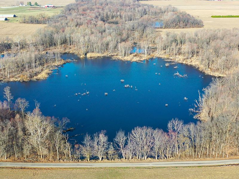 48.5+/- Acres in Miami Co., IN : Akron : Miami County : Indiana
