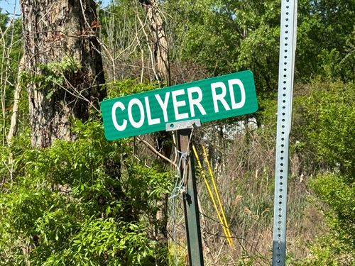 La, West Carroll 120 Acres : Kilbourne : West Carroll Parish : Louisiana