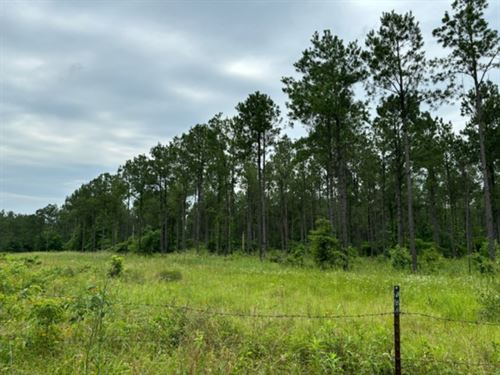 Strickland Acres 3 : Waskom : Harrison County : Texas