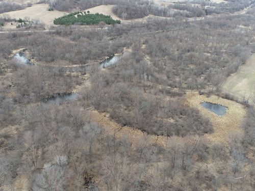 40 Acres Buffalo County : Mondovi : Buffalo County : Wisconsin