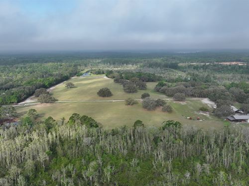 Hawthorne Estate Home and Hay Farm : Hawthorne : Putnam County : Florida