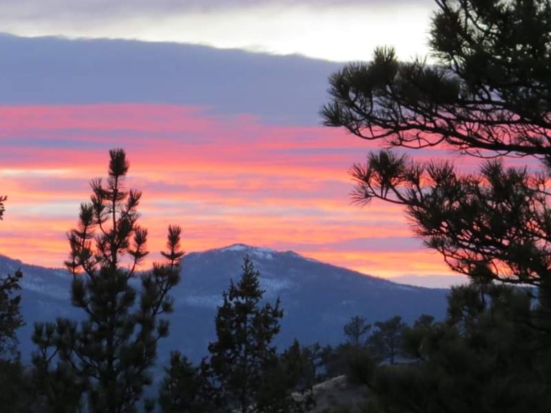 411 Castle Mountain Drive : Livermore : Larimer County : Colorado