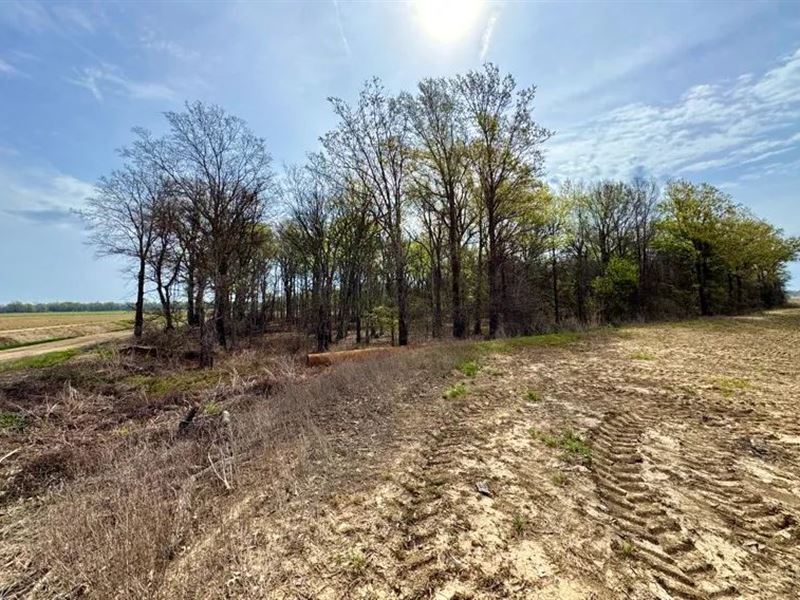 24 Acres in Sunflower County in Rul : Ruleville : Sunflower County : Mississippi