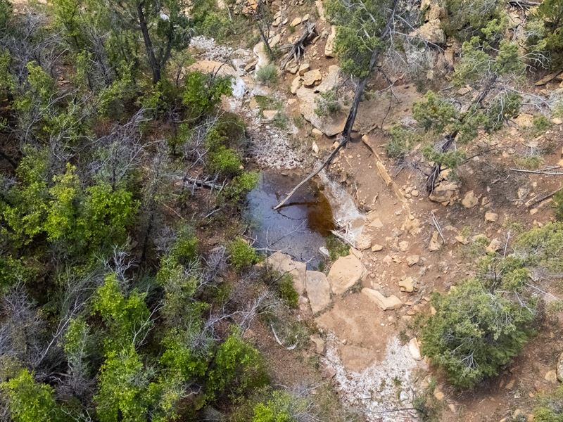 Deer Run Ranch : Hesperus : La Plata County : Colorado