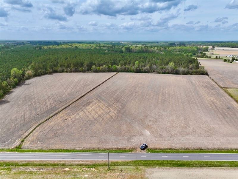 60.75 Acres of Fa : Snow Hill : Greene County : North Carolina