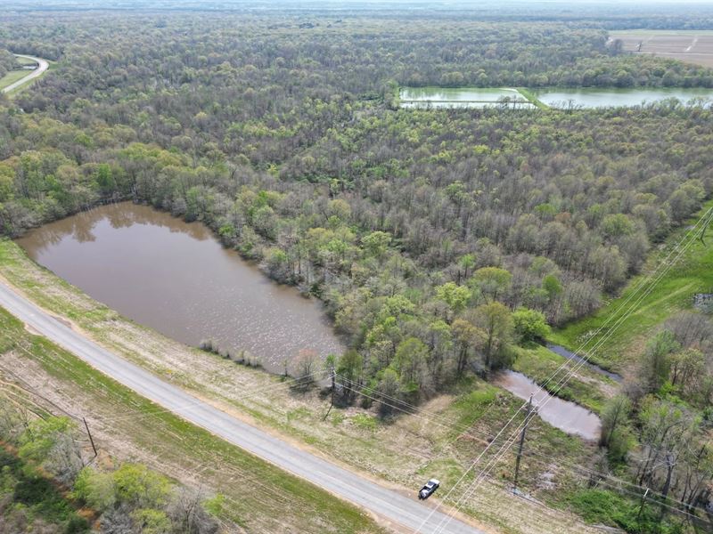 67.1 Acres in Holmes County in Good : Goodman : Holmes County : Mississippi