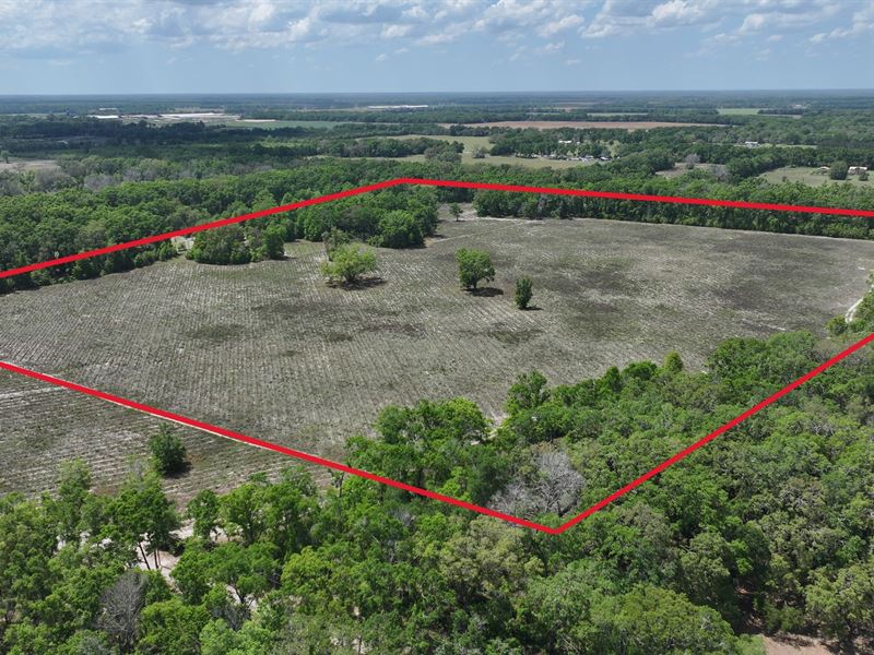 Bell Gilchrist 48 Acres : Bell : Gilchrist County : Florida