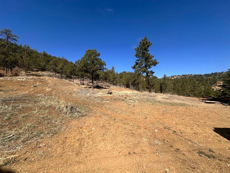 Big Pine Ridge, Weston, Co 8109 : Weston : Las Animas County : Colorado