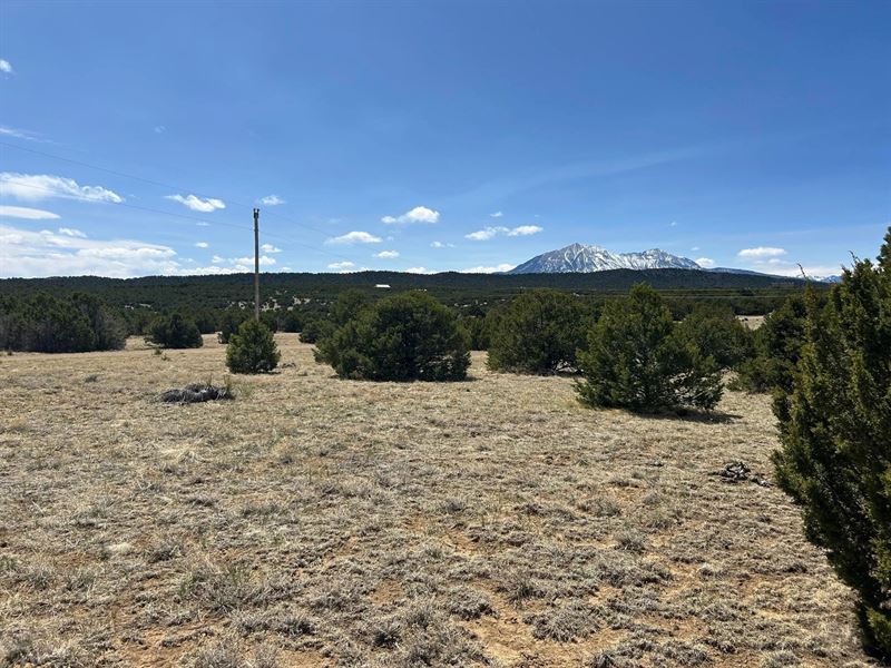 Lot 32C Silver Spurs Ranch, Walsenb : Walsenburg : Huerfano County : Colorado