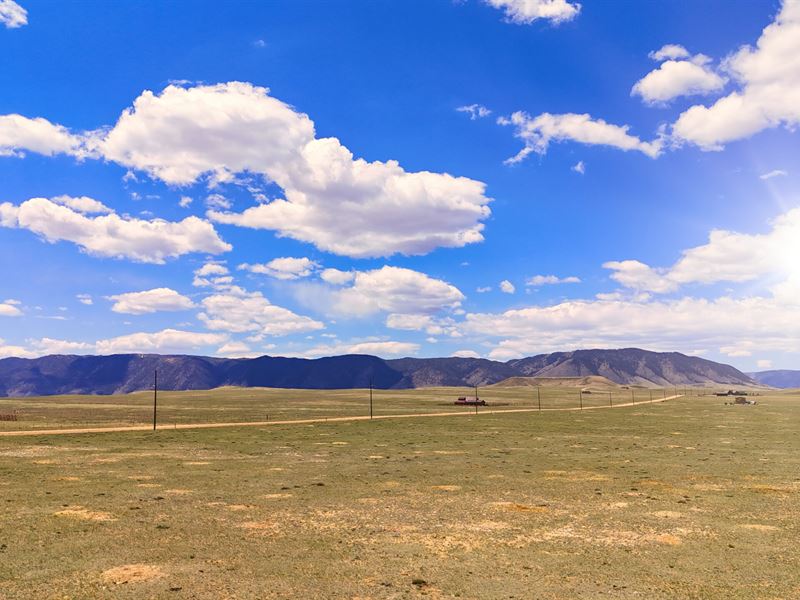 Bronco Range : Laramie : Albany County : Wyoming