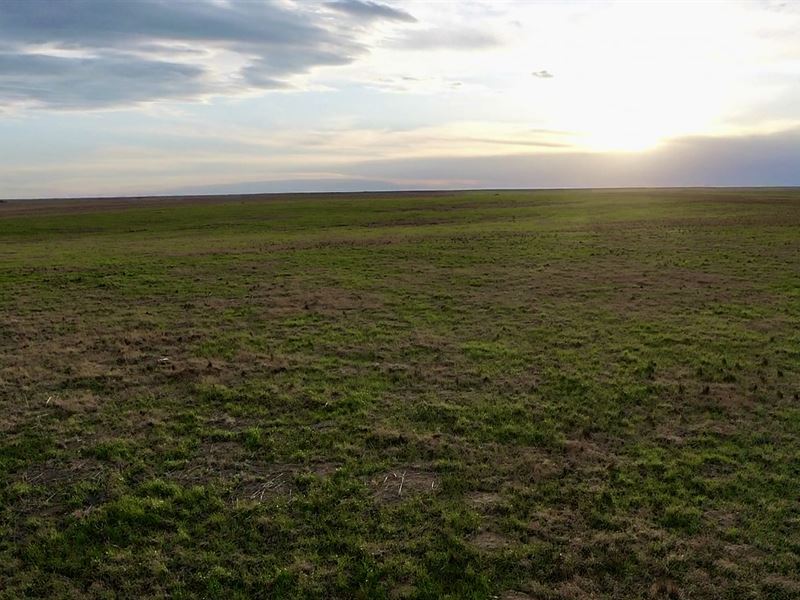Wallace County Line Farm and Ranch : Sharon Springs : Wallace County : Kansas