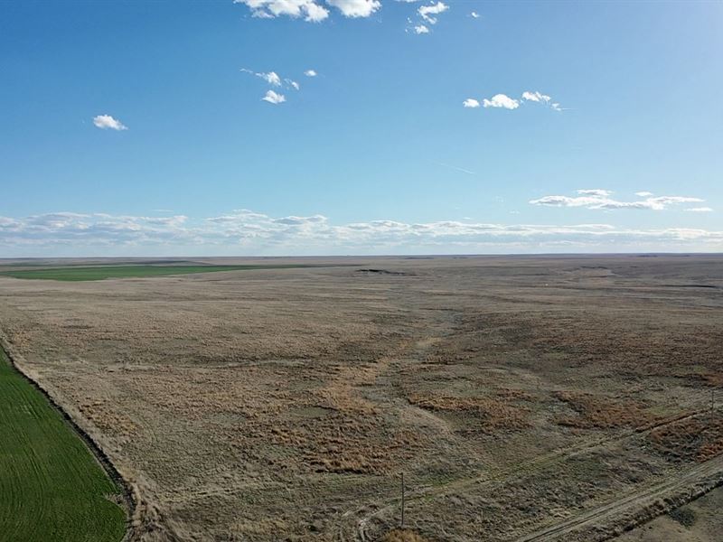 Wallace County Line Farm and Ranch : Sharon Springs : Wallace County : Kansas