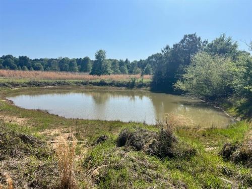 Excellent Homesite on 18 Acres : Ponta : Cherokee County : Texas