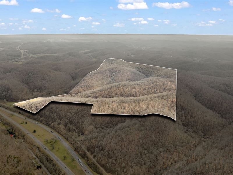 176 Acres of Prime Development Land : Whites Creek : Davidson County : Tennessee