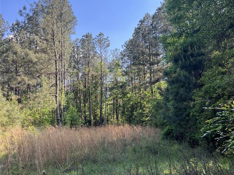 Prefect Weekend Getaway : McComb : Pike County : Mississippi
