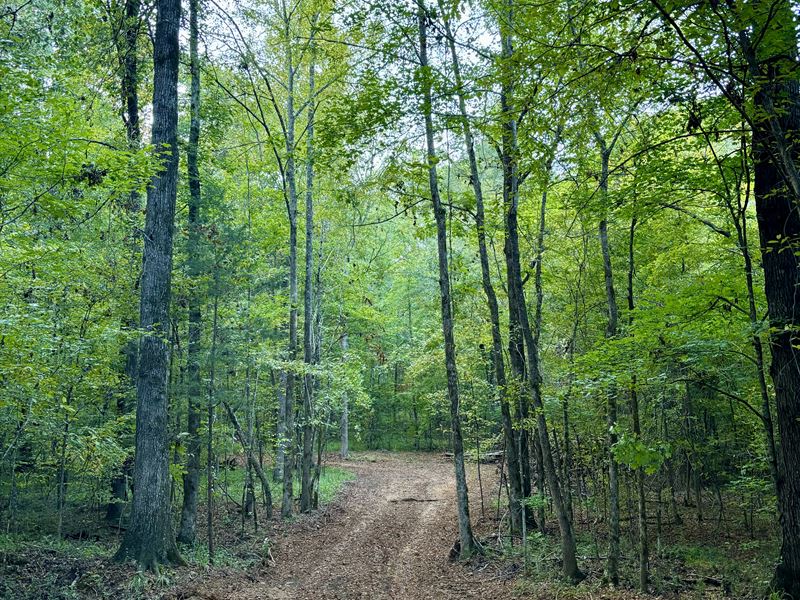 1569 Skull Shoals Road : Washington : Wilkes County : Georgia