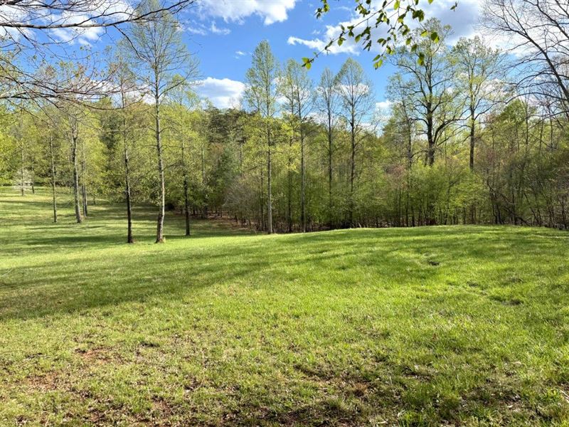 Residential Building Lots Near Town : Rocky Mount : Franklin County : Virginia