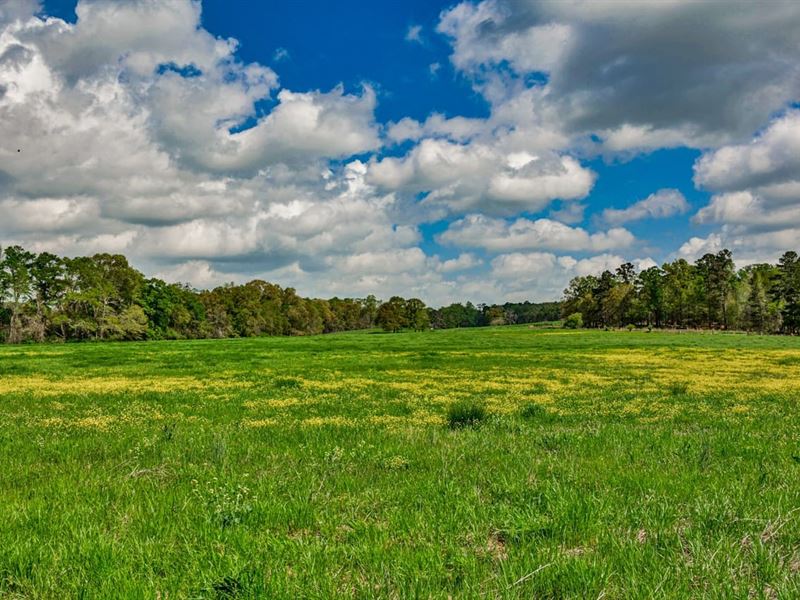 South River Farm : Covington : Newton County : Georgia