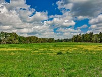 South River Farm : Covington : Newton County : Georgia