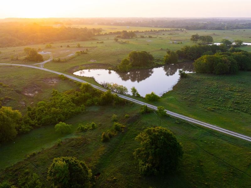 465 Acres Donie, Texas Premier Recr : Donie : Freestone County : Texas