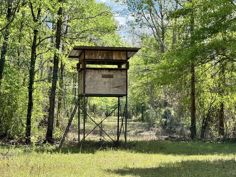 Equity Share on The Big Black River : Kilmichael : Montgomery County : Mississippi